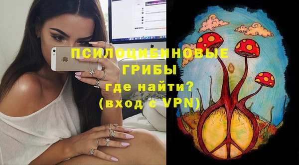 крисы Верея
