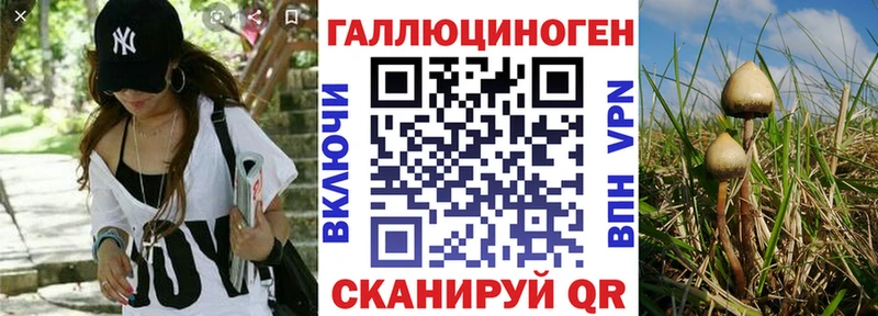 Псилоцибиновые грибы ЛСД Касимов
