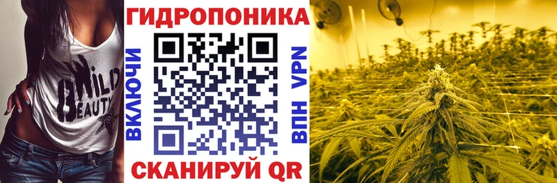 Каннабис ГИДРОПОН Касимов